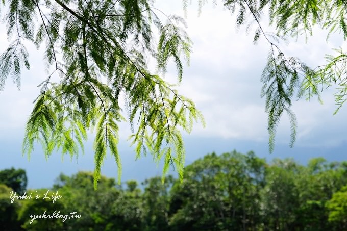 花蓮民宿推薦【薩爾茲堡莊園】歐風童話城堡×樓中樓無敵景觀、大草皮放空親子遊 - yuki.tw