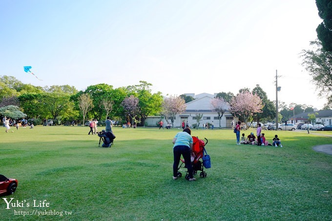 桃園景點【龍潭石管局大草原】親子輕旅行×野餐好去處(四月雪流蘇花盛開) - yuki.tw