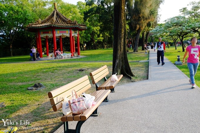 桃園景點【龍潭石管局大草原】親子輕旅行×野餐好去處(四月雪流蘇花盛開) - yuki.tw