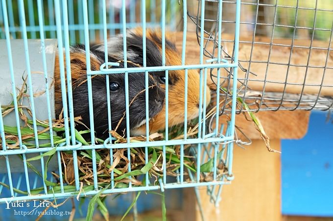 台中景點【公老坪親子餐廳】景觀親子景點、小型動物園、手作遊具隨你玩 - yuki.tw