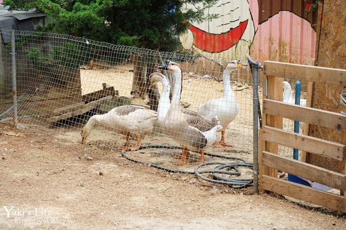 台中景點【公老坪親子餐廳】景觀親子景點、小型動物園、手作遊具隨你玩 - yuki.tw