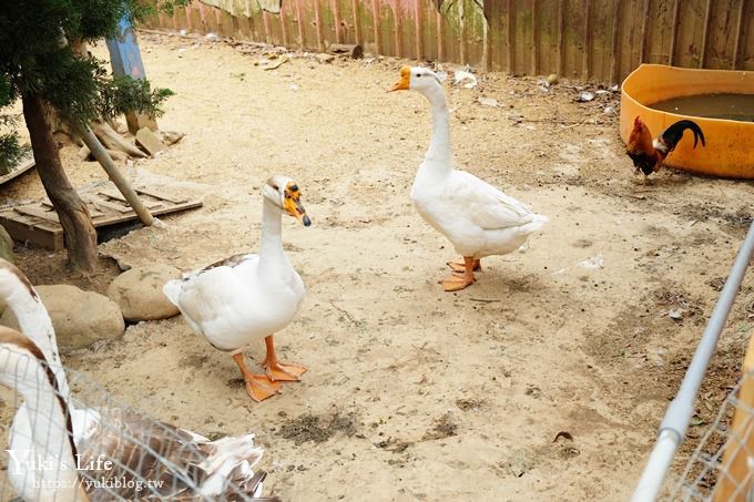 台中景點【公老坪親子餐廳】景觀親子景點、小型動物園、手作遊具隨你玩 - yuki.tw