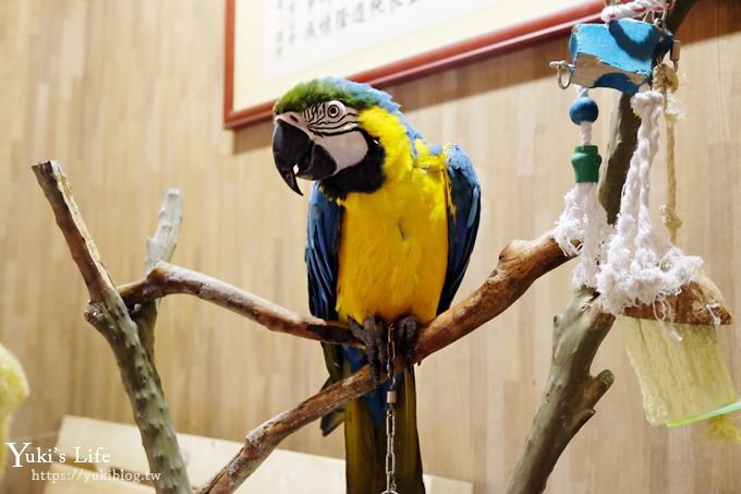 台中景點【公老坪親子餐廳】景觀親子景點、小型動物園、手作遊具隨你玩 - yuki.tw