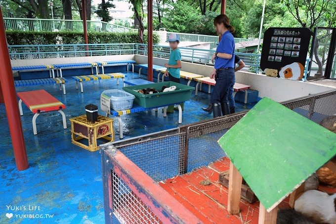 東京免費親子景點【板橋區立兒童動物園】抱抱天竺鼠萌翻了！餵山羊×溜滑梯野餐好去處 - yuki.tw