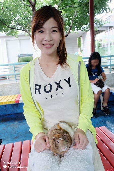 東京免費親子景點【板橋區立兒童動物園】抱抱天竺鼠萌翻了！餵山羊×溜滑梯野餐好去處 - yuki.tw