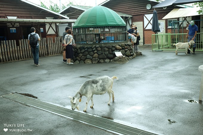 東京免費親子景點【板橋區立兒童動物園】抱抱天竺鼠萌翻了！餵山羊×溜滑梯野餐好去處 - yuki.tw