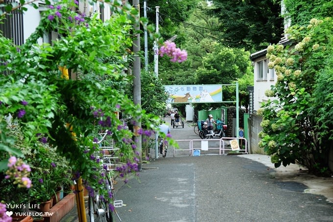 東京免費親子景點【板橋區立兒童動物園】抱抱天竺鼠萌翻了！餵山羊×溜滑梯野餐好去處 - yuki.tw