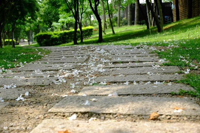 桃園景點【桃園市客家文化館】市區油桐花×桐花祭地景藝術×3D彩繪 - yuki.tw