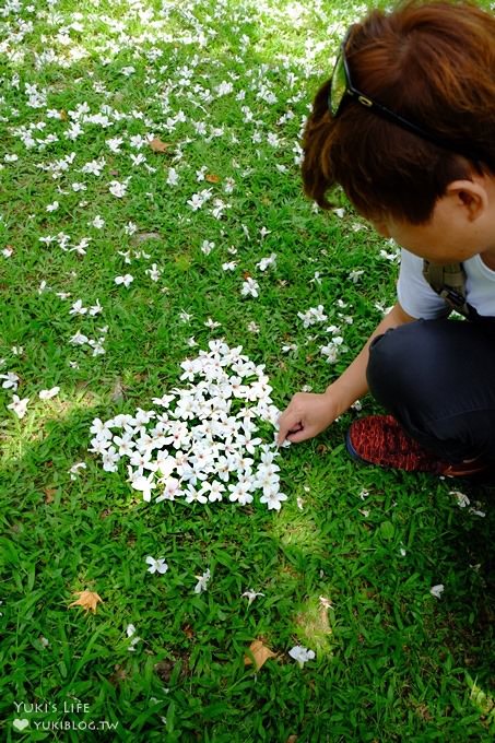 桃園景點【桃園市客家文化館】市區油桐花×桐花祭地景藝術×3D彩繪 - yuki.tw