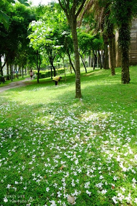 桃園景點【桃園市客家文化館】市區油桐花×桐花祭地景藝術×3D彩繪 - yuki.tw