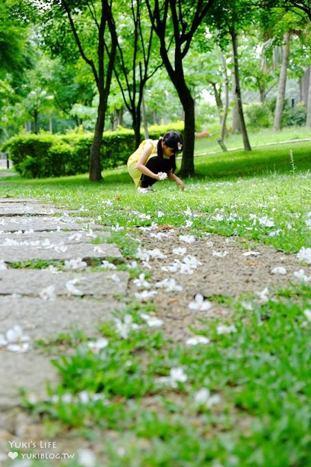 桃園景點【桃園市客家文化館】市區油桐花×桐花祭地景藝術×3D彩繪 - yuki.tw