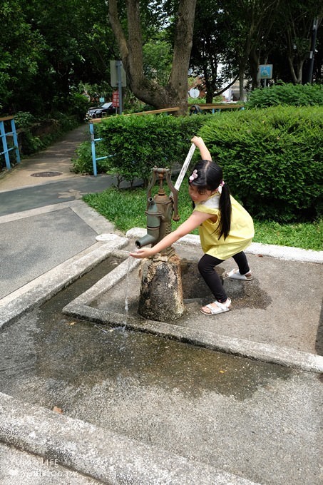 桃園景點【桃園市客家文化館】市區油桐花×桐花祭地景藝術×3D彩繪 - yuki.tw