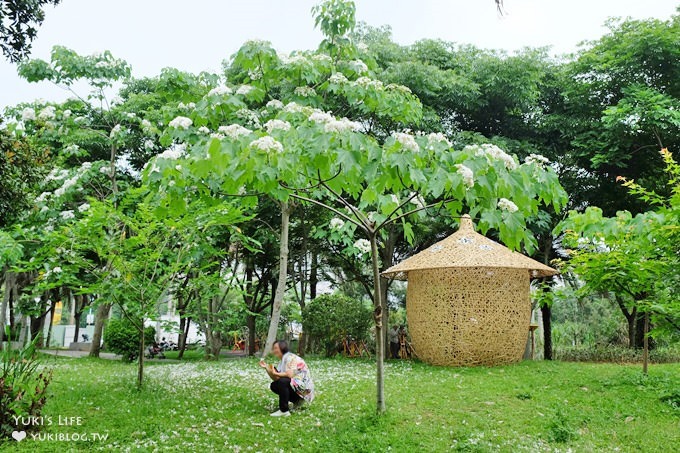 桃園景點【桃園市客家文化館】市區油桐花×桐花祭地景藝術×3D彩繪 - yuki.tw