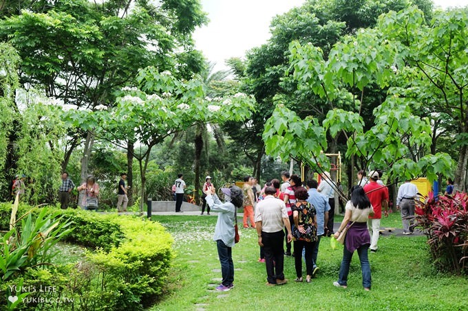 桃園景點【桃園市客家文化館】市區油桐花×桐花祭地景藝術×3D彩繪 - yuki.tw