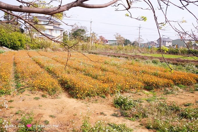 桃園觀音景點【青林農場】便宜門票、有沙坑、小火車、餵兔子的親子旅遊地點 - yuki.tw