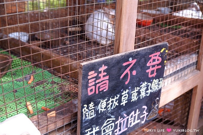 桃園觀音景點【青林農場】便宜門票、有沙坑、小火車、餵兔子的親子旅遊地點 - yuki.tw