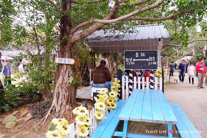 桃園觀音景點【青林農場】便宜門票、有沙坑、小火車、餵兔子的親子旅遊地點 - yuki.tw