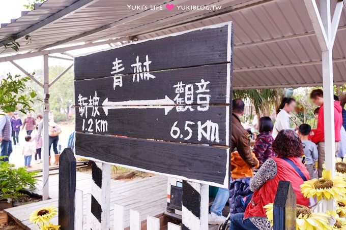 桃園觀音景點【青林農場】便宜門票、有沙坑、小火車、餵兔子的親子旅遊地點 - yuki.tw