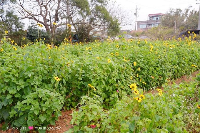 桃園觀音景點【青林農場】便宜門票、有沙坑、小火車、餵兔子的親子旅遊地點 - yuki.tw