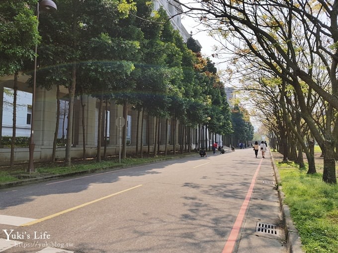 賞櫻景點【三峽台北大學吉野櫻湖景步道】平地賞櫻秘境 - yuki.tw