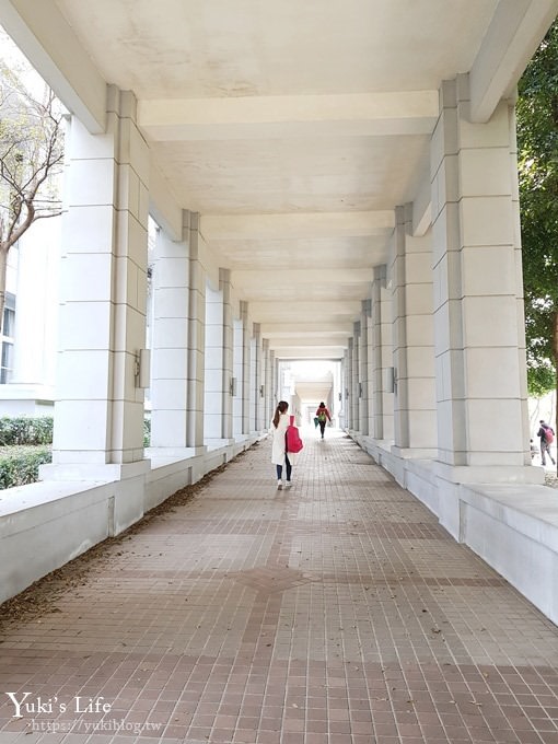 賞櫻景點【三峽台北大學吉野櫻湖景步道】平地賞櫻秘境 - yuki.tw