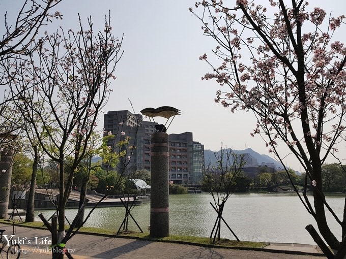 賞櫻景點【三峽台北大學吉野櫻湖景步道】平地賞櫻秘境 - yuki.tw