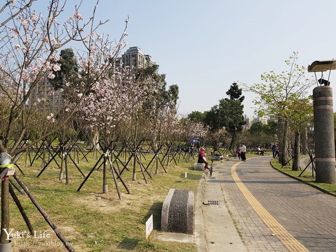 賞櫻景點【三峽台北大學吉野櫻湖景步道】平地賞櫻秘境 - yuki.tw