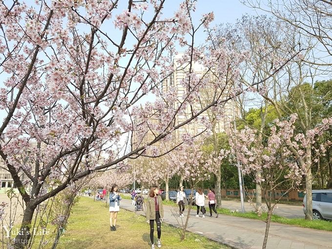 賞櫻景點【三峽台北大學吉野櫻湖景步道】平地賞櫻秘境 - yuki.tw