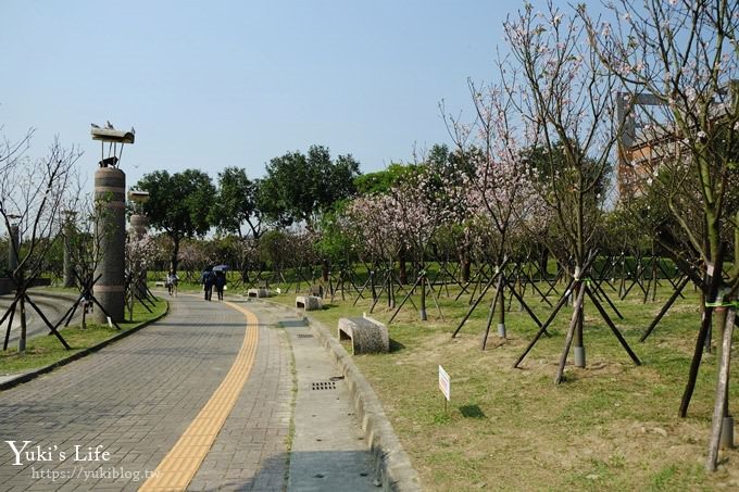 賞櫻景點【三峽台北大學吉野櫻湖景步道】平地賞櫻秘境 - yuki.tw