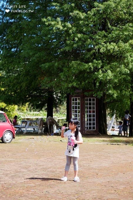 桃園景點【富田花園農場】大溪水晶教堂超浪漫×ILOVEYOU造景×親子景點 - yuki.tw