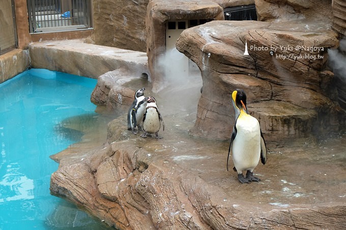 日本名古屋景點┃東山動植物園●接近大自然.發現北極熊、企鵝還有恐龍! - yuki.tw