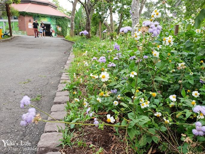 苗栗親子景點【苗栗西湖渡假村】森林冒險遊樂園暢玩一整天×賞油桐花賞螢火蟲景點 - yuki.tw