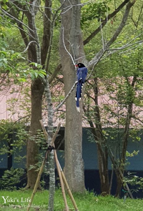 苗栗親子景點【苗栗西湖渡假村】森林冒險遊樂園暢玩一整天×賞油桐花賞螢火蟲景點 - yuki.tw