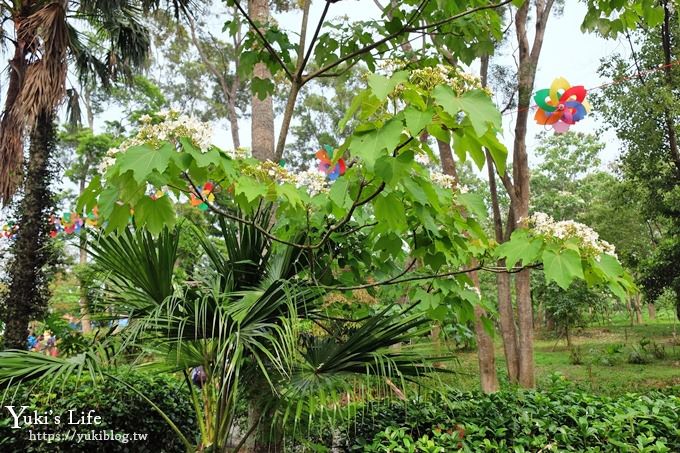 苗栗親子景點【苗栗西湖渡假村】森林冒險遊樂園暢玩一整天×賞油桐花賞螢火蟲景點 - yuki.tw