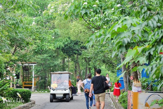 苗栗親子景點【苗栗西湖渡假村】森林冒險遊樂園暢玩一整天×賞油桐花賞螢火蟲景點 - yuki.tw