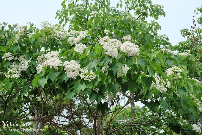 苗栗親子景點【苗栗西湖渡假村】森林冒險遊樂園暢玩一整天×賞油桐花賞螢火蟲景點 - yuki.tw