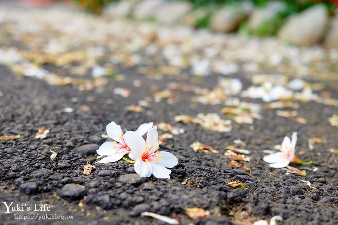 苗栗親子景點【苗栗西湖渡假村】森林冒險遊樂園暢玩一整天×賞油桐花賞螢火蟲景點 - yuki.tw