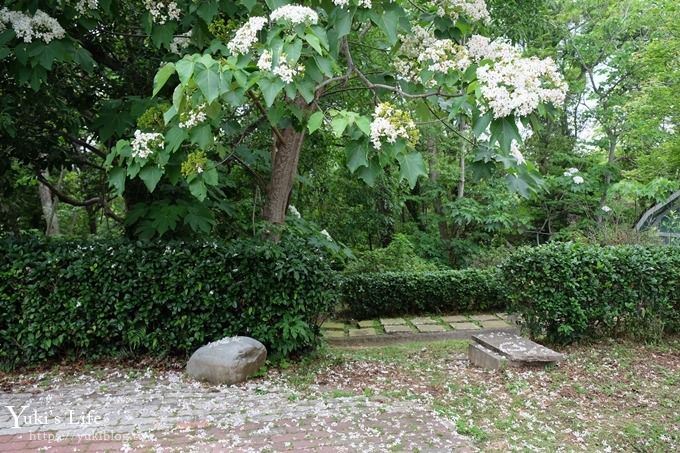 苗栗親子景點【苗栗西湖渡假村】森林冒險遊樂園暢玩一整天×賞油桐花賞螢火蟲景點 - yuki.tw