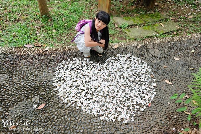 苗栗親子景點【苗栗西湖渡假村】森林冒險遊樂園暢玩一整天×賞油桐花賞螢火蟲景點 - yuki.tw