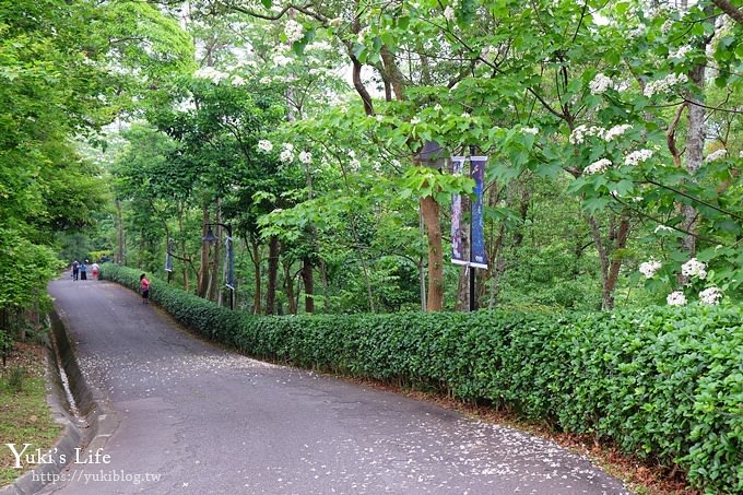 苗栗親子景點【苗栗西湖渡假村】森林冒險遊樂園暢玩一整天×賞油桐花賞螢火蟲景點 - yuki.tw