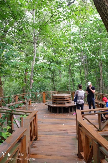 苗栗親子景點【苗栗西湖渡假村】森林冒險遊樂園暢玩一整天×賞油桐花賞螢火蟲景點 - yuki.tw