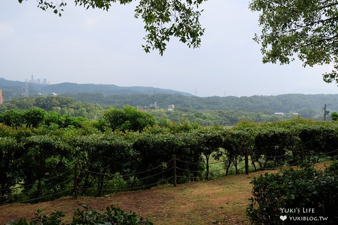 淡水玻璃屋景觀餐廳【日光行館】草皮上溜滑梯玩沙池親子餐廳(夏季加碼玩水大戰/淡水一日遊景點) - yuki.tw