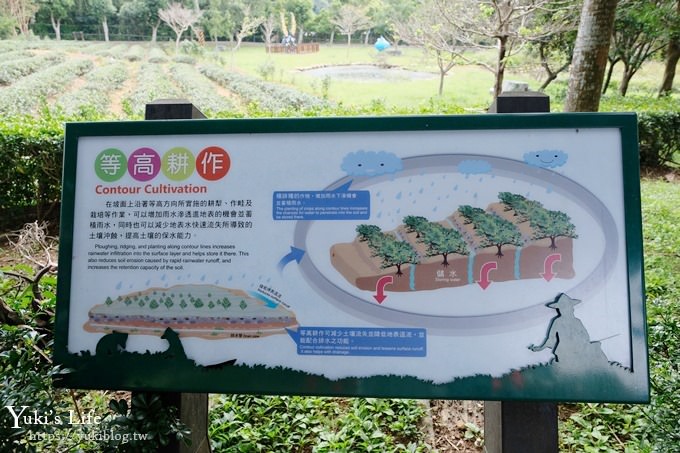 桃園親子景點》三水水土保持戶外教室~可愛水保寶特色公園×獨角仙與你野餐哦！(乳姑山景觀餐廳一日遊推薦) - yuki.tw