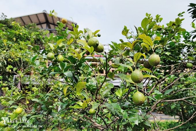 桃園親子景點》三水水土保持戶外教室~可愛水保寶特色公園×獨角仙與你野餐哦！(乳姑山景觀餐廳一日遊推薦) - yuki.tw