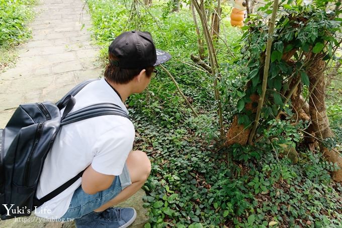 桃園親子景點》三水水土保持戶外教室~可愛水保寶特色公園×獨角仙與你野餐哦！(乳姑山景觀餐廳一日遊推薦) - yuki.tw