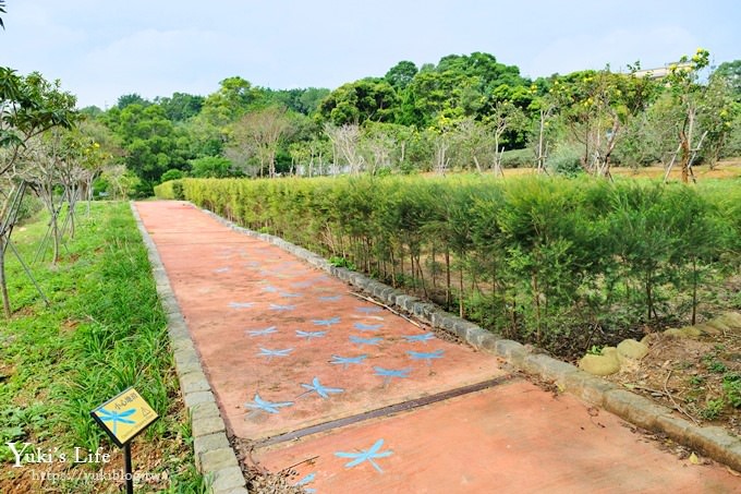 桃園親子景點》三水水土保持戶外教室~可愛水保寶特色公園×獨角仙與你野餐哦！(乳姑山景觀餐廳一日遊推薦) - yuki.tw