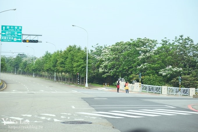 苗栗景點【九華山天空步道】銅鑼油桐花景點×親子旅遊一日遊行程規劃 - yuki.tw