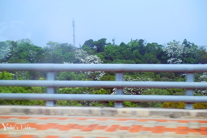 苗栗景點【九華山天空步道】銅鑼油桐花景點×親子旅遊一日遊行程規劃 - yuki.tw