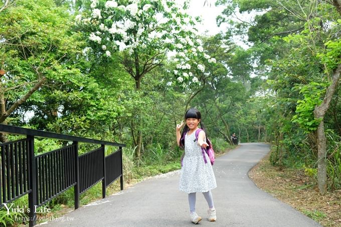 苗栗景點【九華山天空步道】銅鑼油桐花景點×親子旅遊一日遊行程規劃 - yuki.tw