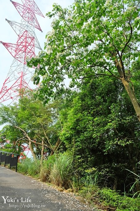 苗栗景點【九華山天空步道】銅鑼油桐花景點×親子旅遊一日遊行程規劃 - yuki.tw